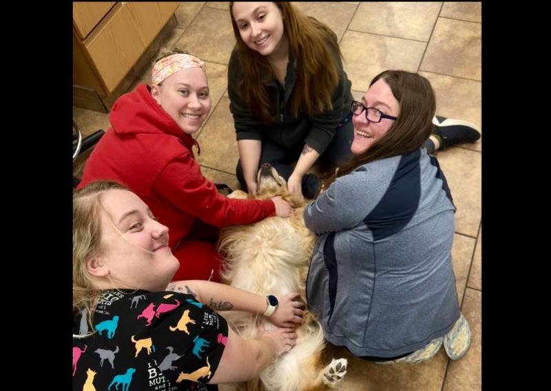 Carousel Slide 8: When Nail Trims turn into Belly Rubs!