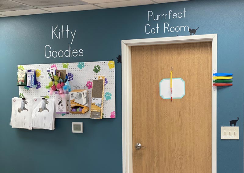 Cat Veterinary Care in Portage