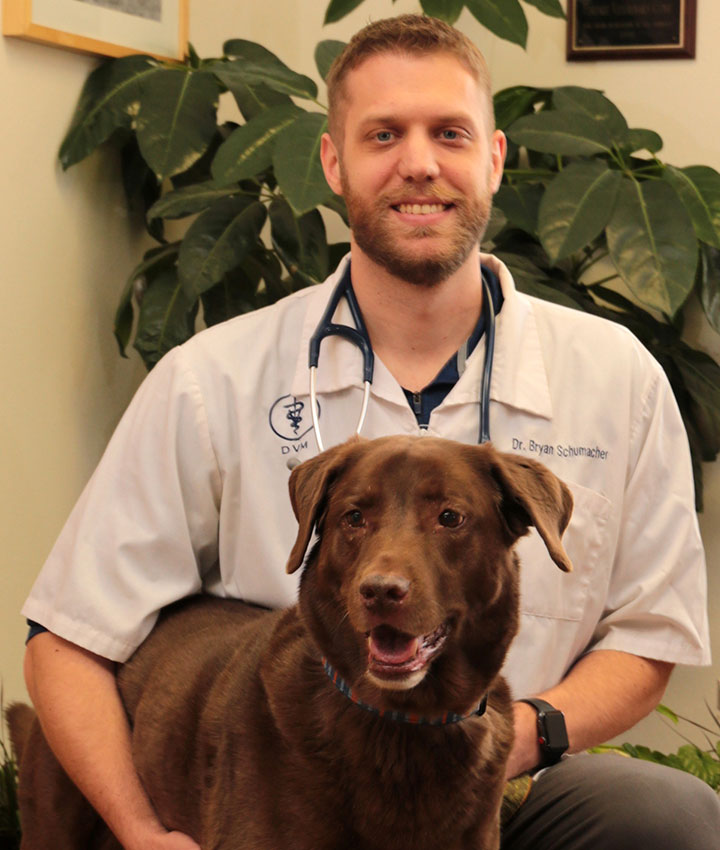 Dr. Bryan Schumacher, DVM | Portage Veterinary Clinic